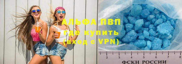 амф Гусев