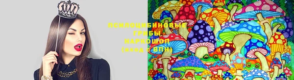 индика Гусь-Хрустальный
