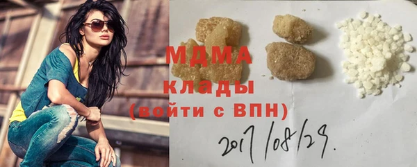 индика Гусь-Хрустальный