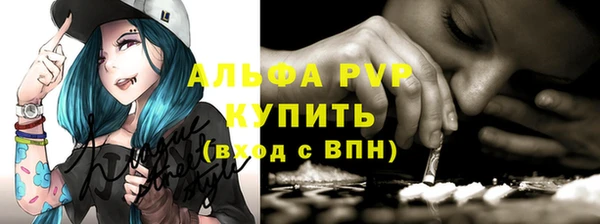 индика Гусь-Хрустальный