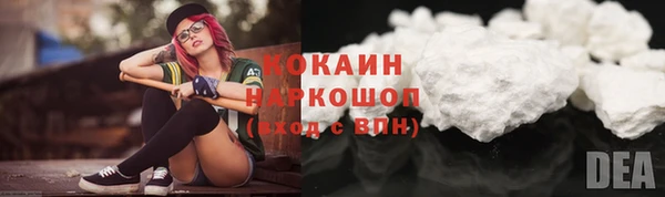 амф Гусев