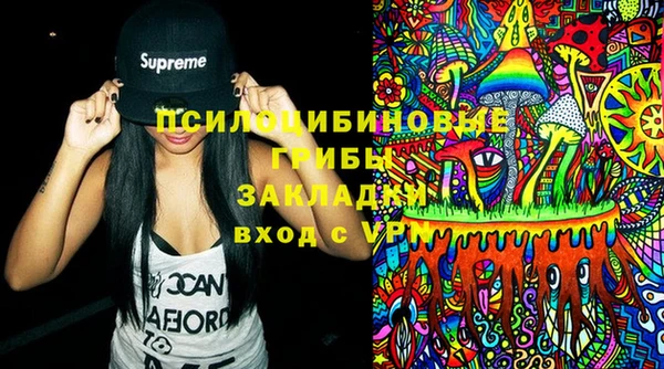 амф Гусев