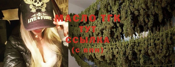амф Гусев