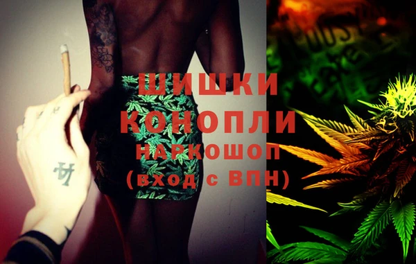 индика Гусь-Хрустальный
