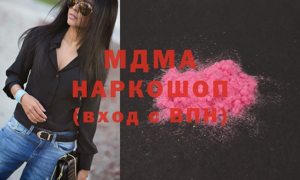 индика Гусь-Хрустальный