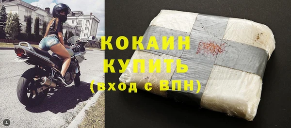 индика Гусь-Хрустальный