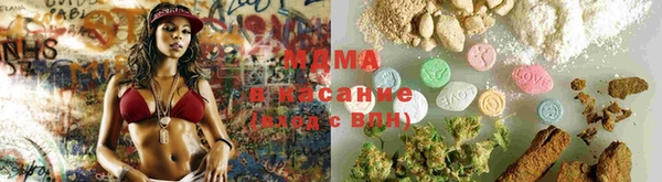 амф Гусев