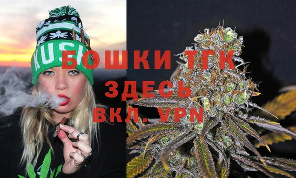 индика Гусь-Хрустальный