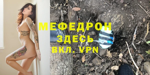 индика Гусь-Хрустальный