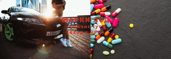 индика Гусь-Хрустальный